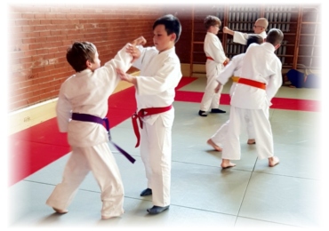 Aikido-1